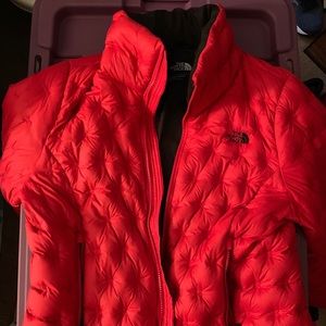 The North Face Holladown Crop